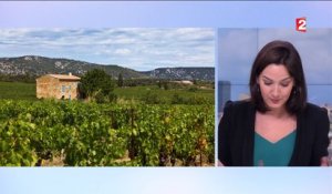 Vins : tour d'horizon du patrimoine vinicole français