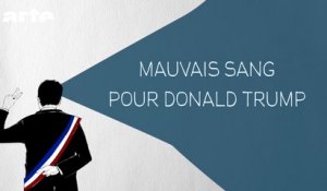 Mauvais sang pour Donald Trump - DESINTOX - 10/05/2016