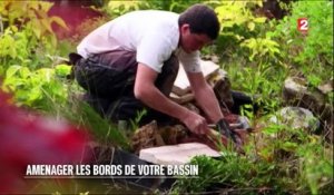 Jardin - Aménager les bords de votre bassin - 2016/05/14