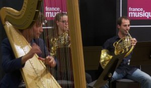 Manuel de Falla : La danse du feu (extrait de l'Amour sorcier) par l'Ensemble Appassionato & Hugues Borsarello  I Le live de la matinale