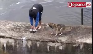 Un homme porte secours à un chien qui est à deux doigts de se noyer...sa réaction est très touchante
