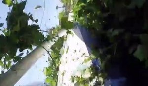 Un crash d'avion transportant 17 parachutistes filmé de l'intérieur