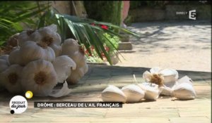 Drôme : berceau de l'ail français