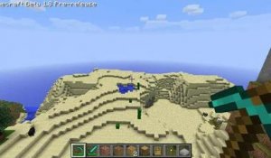 Vue aérienne de Minecraft 1.8