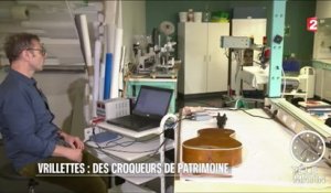 Sciences - Le cri de la vrillette au fond du bois - 2016/05/31