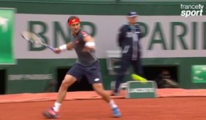 Malmené, David Ferrer sort un énorme passing