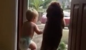 La réaction d'un bébé et d'un chien au retour de papa