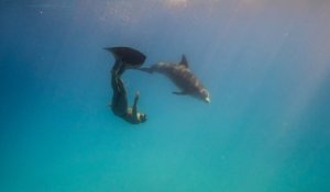 Adrénaline - Apnée : Stéphane Tourreau s'invite avec les dauphins