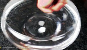 Comment faire flotter une pièce de monnaie à la surface de l'eau