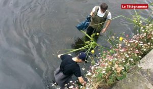 Quimper. La pêche aux déchets