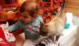 Un enfant nourrit un chat