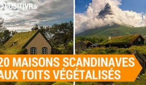 20 maisons scandinaves aux toits végétalisés