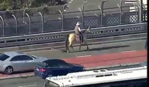 Pour protester ce fermier circule à cheval sur l'autoroute à Sydney