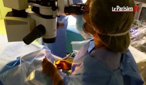 Mantes-la-Jolie : opération de l’œil sous hypnose