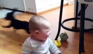 Ce chien a trouvé comment distraire et faire rire ce bébé