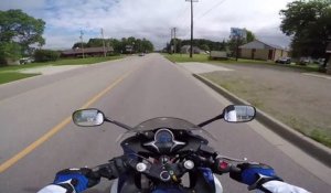 Un motard percute une biche 5 minutes après avoir obtenu son permis