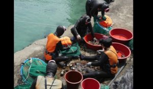 Voyage en terre indigène, chez les Haenyeos : des savoirs pour demain