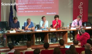 Brexit : débat avec Emmanuel Macron Daniel Cohn-Bendit et Sylvie Goulard
