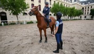 Tous sports - Equitation : Bost monte Uranium, fils d'Idéal de la Loge