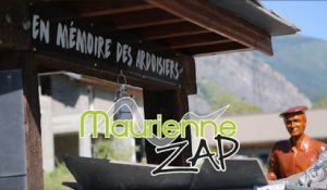 Maurienne Zap # 291