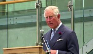Un salaire record pour le prince Charles