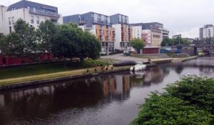 Un cachalot échoué sur un quai à Rennes