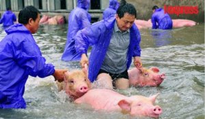Chine: 1,3 million d'habitants touchés par des inondations