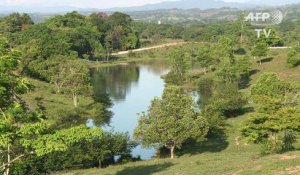 Colombie: hippopotames, l'insolite héritage de Pablo Escobar