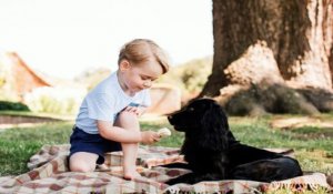 Kate et William cruels avec les animaux ?