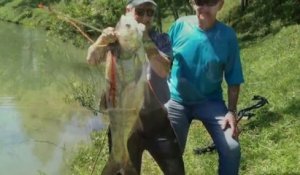 Ce pêcheur à l'arc attrape une carpe de 18kg