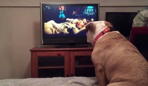 Un chien aboie devant un film pour mettre en garde l'un des personnages