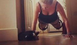 Un chat interrompt le push up challenge de sa maitresse.. trop cute!