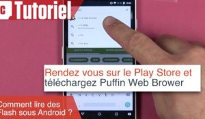 Tuto : comment lire du Flash sur Android avec Puffin Web Browser