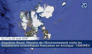 Ségolène Royal visite l'archipel arctique du Svalbard : Les mammifères qu'elle risque de croiser