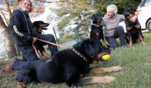 Coupe du monde de chiens de bergers à Falck : la voix de leurs maîtres