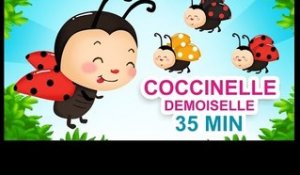 Coccinelle, demoiselle - Comptines pour bébés - Titounis