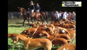 VIDEO. Tours : Montpoupon célèbre la chasse et la nature