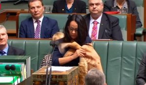 L'émouvant discours de la première députée Aborigène d'Australie