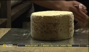 Roquefort : le brebis qui a du caractère