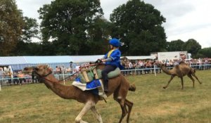 Pays de Vitré. Trois jours de fête sous le signe de l'Orient