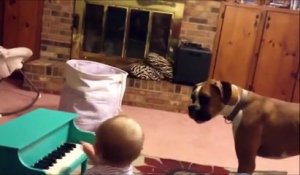 Duo le plus adorable : le bébé au piano et le chien au chant!