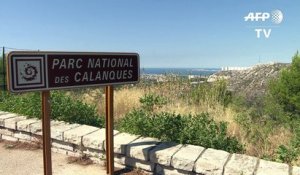 Marseille: 390 hectares brûlés dans le Parc des calanques