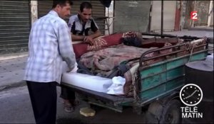 Syrie : la trêve tient depuis deux jours
