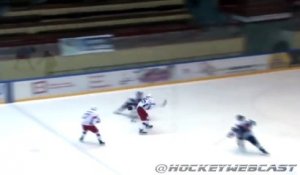 Le plus gros tampon vu dans un match de hockey sur glace !