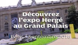 VIDEO. Découvrez l'expo Hergé au Grand Palais