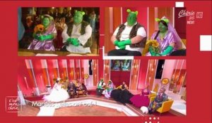 C'est mon choix : un couple belge s'est marié, déguisé en Shrek