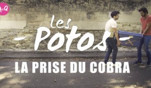 LES POTOS - LA PRISE DU COBRA