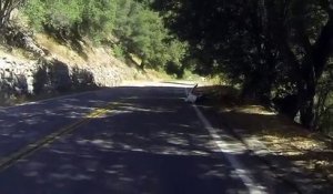 Ce motard se crash contre un arbre - Slow motion impressionnant
