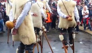 Mont-de-Marsan : démonstration d'échasses lors de la manifestation opur défendre les traditions landaises