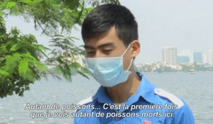 Vietnam: des centaines de poissons retrouvés morts dans un lac